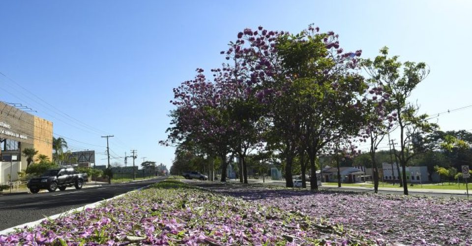 Foto: Bruno Rezende