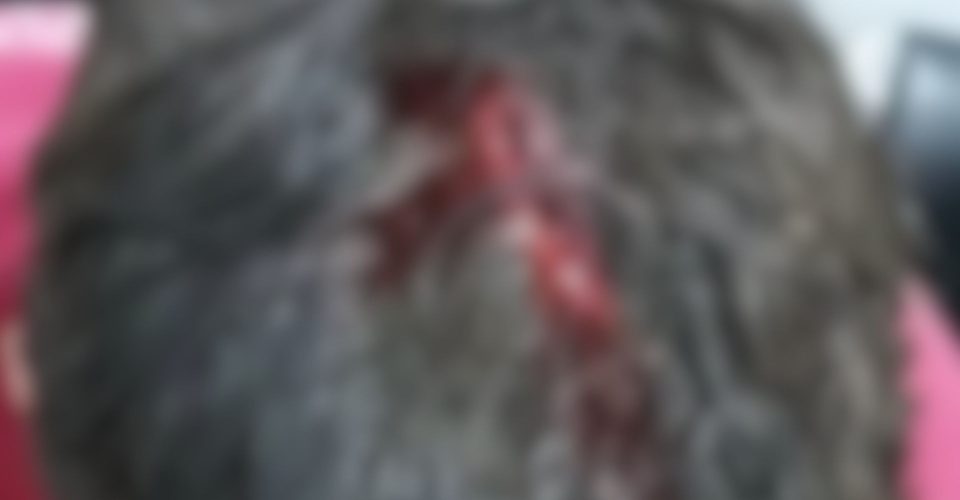 Arma foi encontrada na casa de um dos suspeitos - Foto: Divulgação Rio Verde News