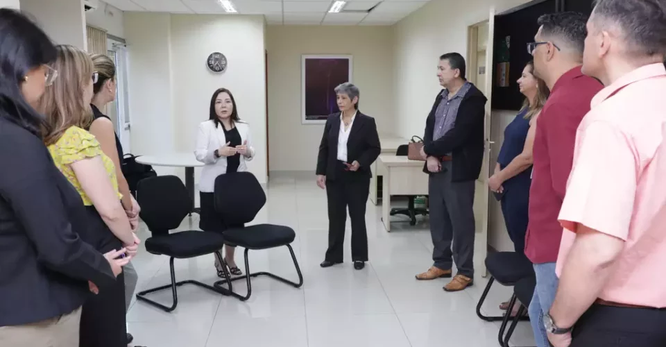 Juíza auxiliar da Vice-Presidência, Simone Nakamatsu, durante reunião com servidores - Foto: divulgação