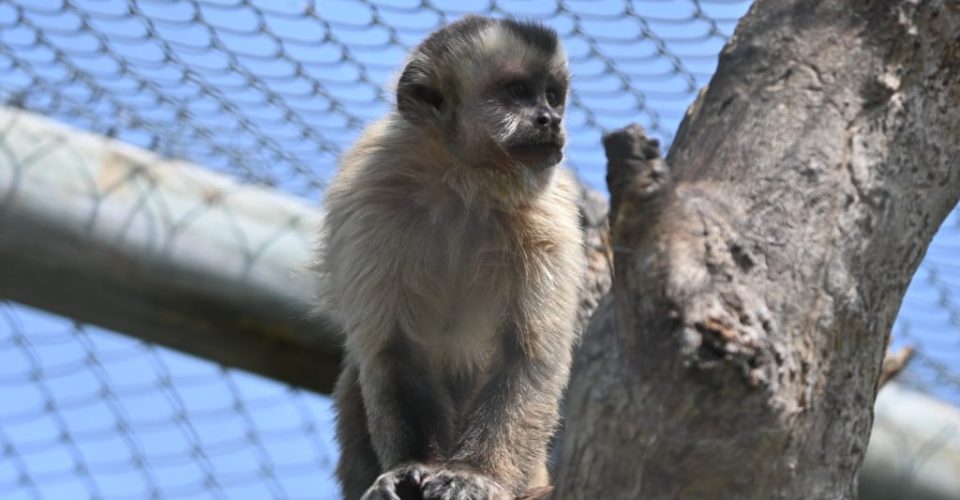 Foto: Divulgação/Imasul