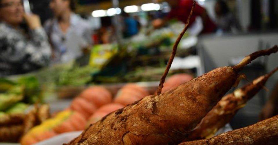 Foto: Divulgação/ Famasul