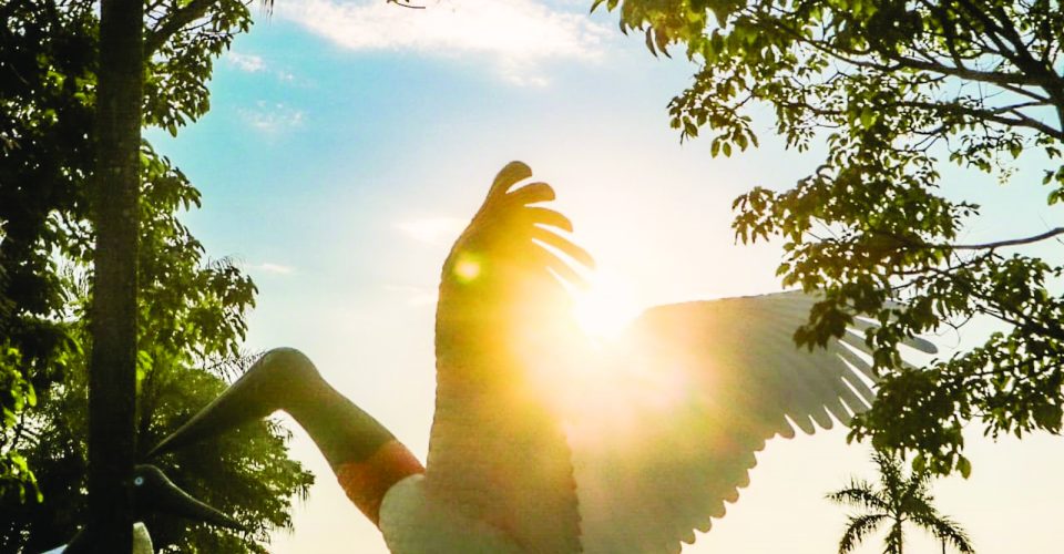 Foto: Arquivo/Marcos Maluf