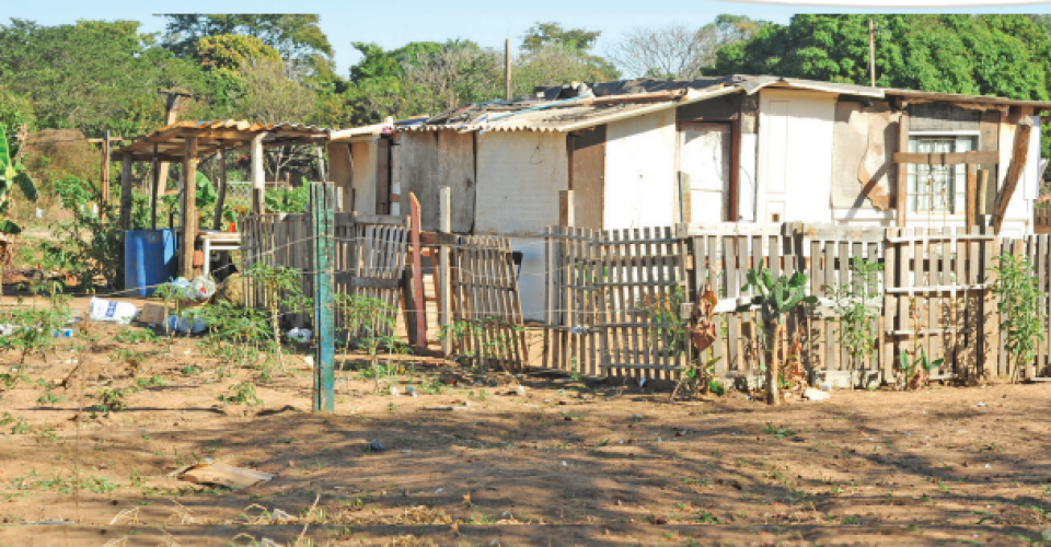 Foto: Nilson Figueiredo/JornalOEstadoMS