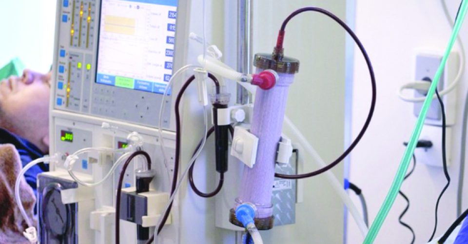 Foto: MS divulgação