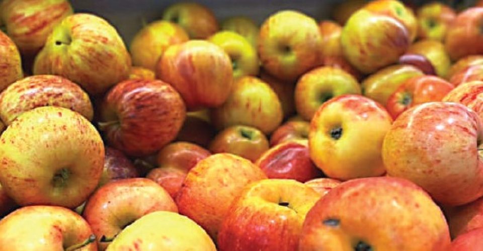 Foto: Roberta Martins