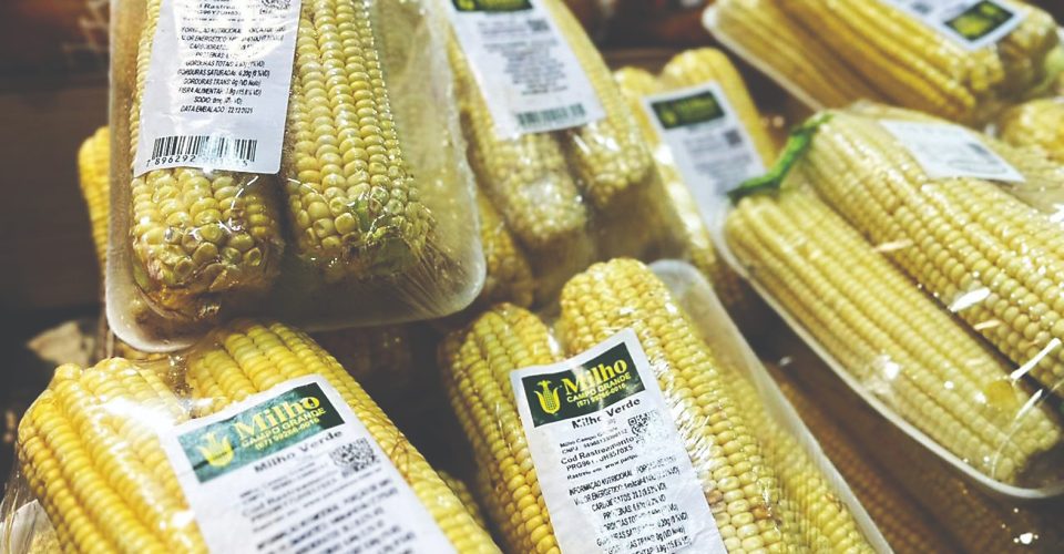 Em Mato Grosso do Sul, o milho é negociado em torno de R$ 55 a R$ 56 a saca de 60 quilos em praças como Campo Grande e Dourados - Foto: Roberta Martins