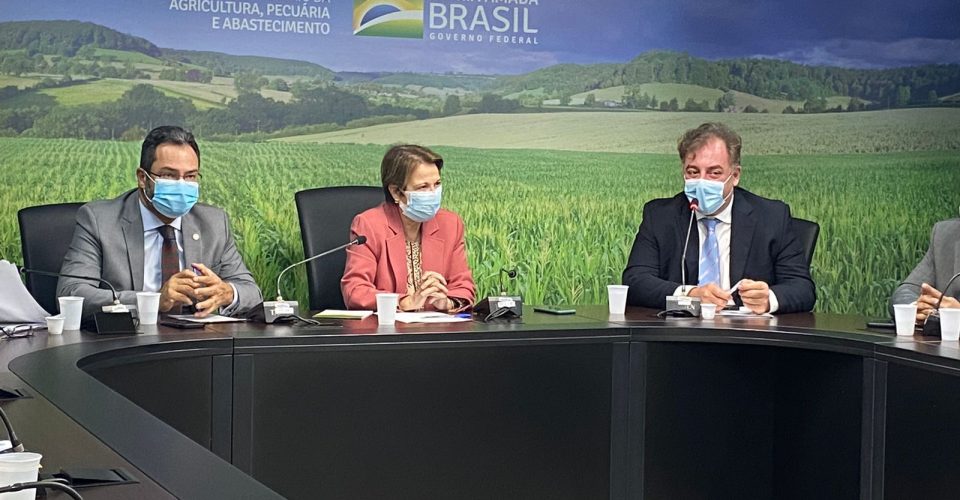 Ministra Tereza Cristina anuncia “kit agro” de R$ 164 MI para MS