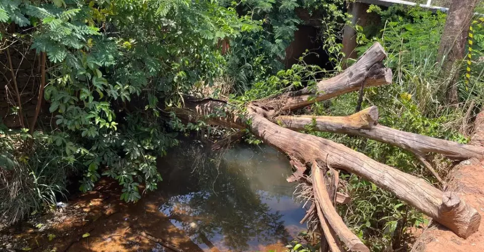 Foto: reprodução/Sidney Assis