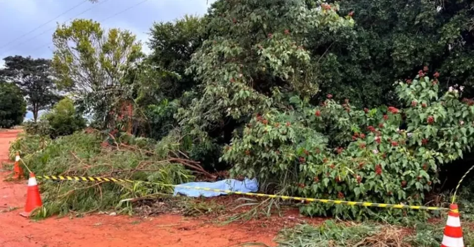 Foto: reprodução/Ivinotícias