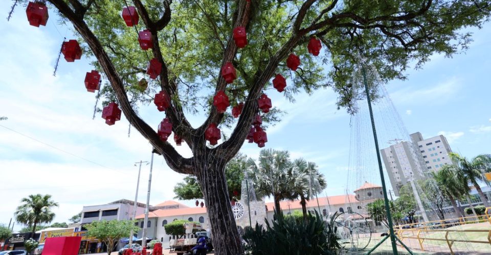 Fotoi: Fotos: A. Frota