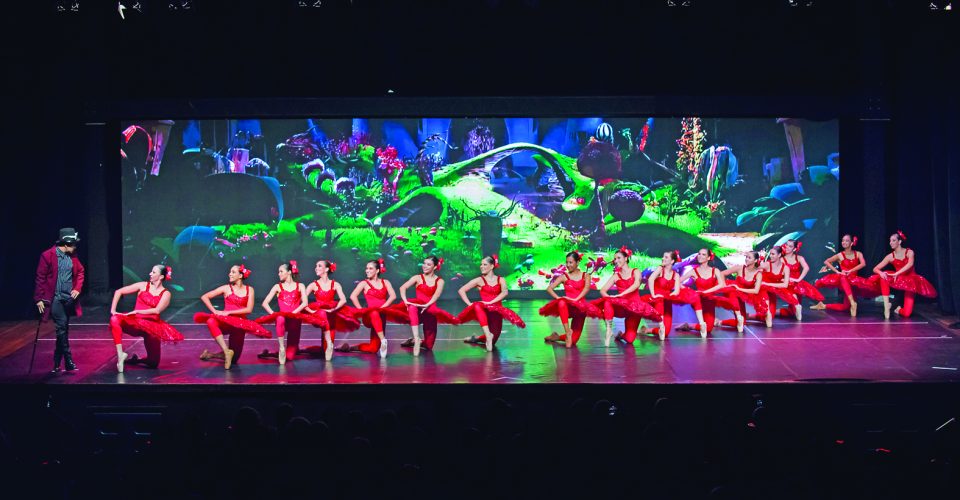 Foto: Arquivo pessoal/Graciela Quintana