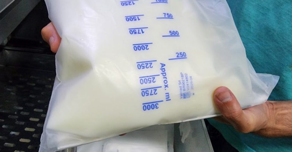 Foto: Patrícia Belarmino/HRMS