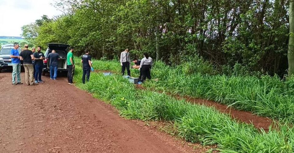 Foto: Reprodução/ Dourados News