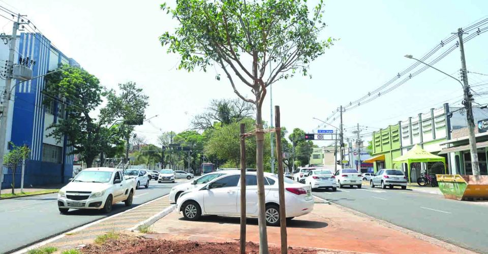 Foto: Nilson Figueiredo