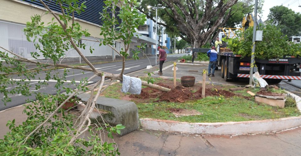 FOTO: -NILSON FIGUEIREDO