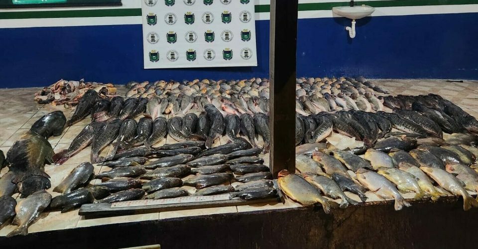 Foto: divulgação/PMA