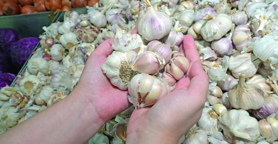 Levantamento do jornal O Estado em seis supermercados aponta diferenças expressivas em 30 itens - Foto: Nilson Figueiredo