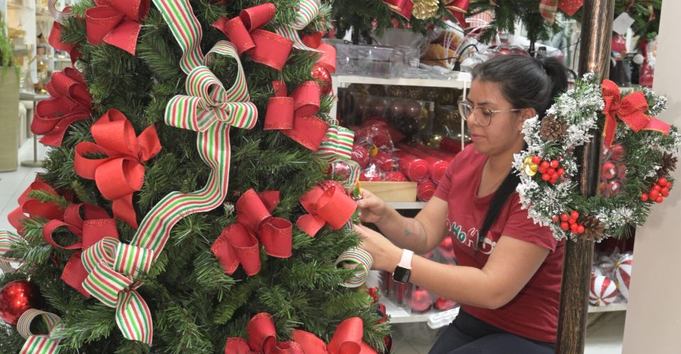 Foto: Nilson Figueiredo