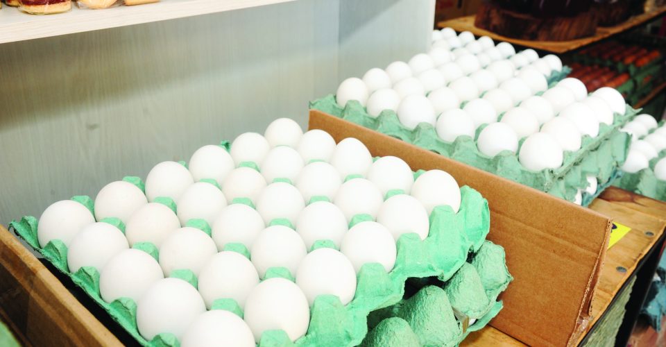 Foto: Nilson Figueiredo