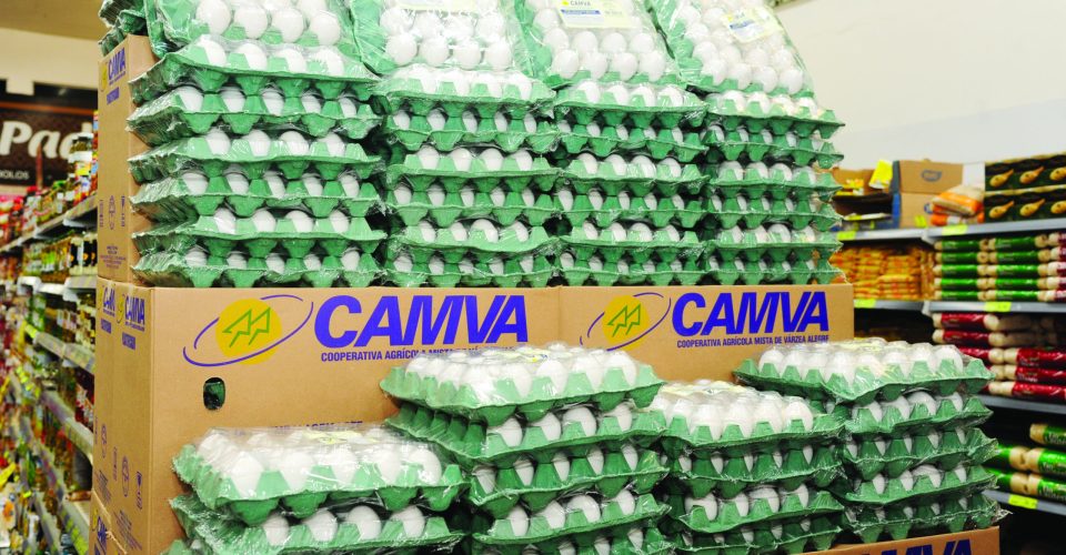 Preço dos ovos tem expectativa de permancer sem tendência de alta expressiva - Foto: Nilson Figueiredo