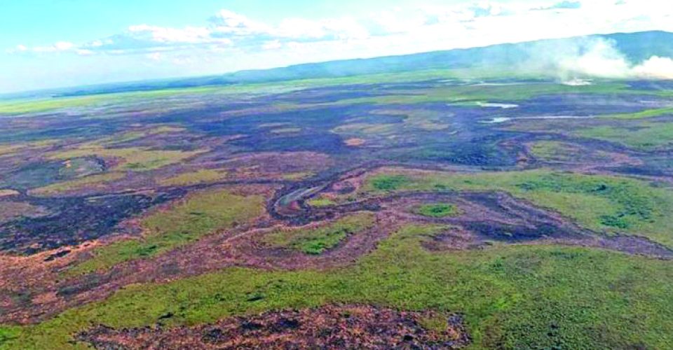 Estiagem severa foi um dos fatores que contribuiu para a maior incidência de fogo - Foto: Divulgação-GOV-MS