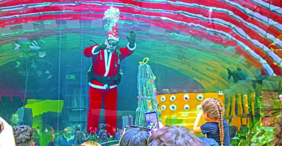 Fotos: Allan Gabriel