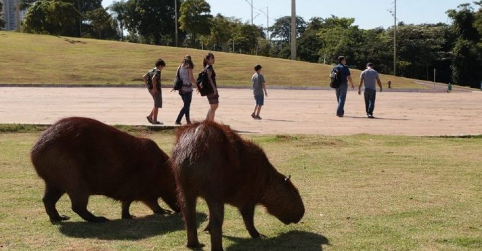 Foto: Denilson-Secreta