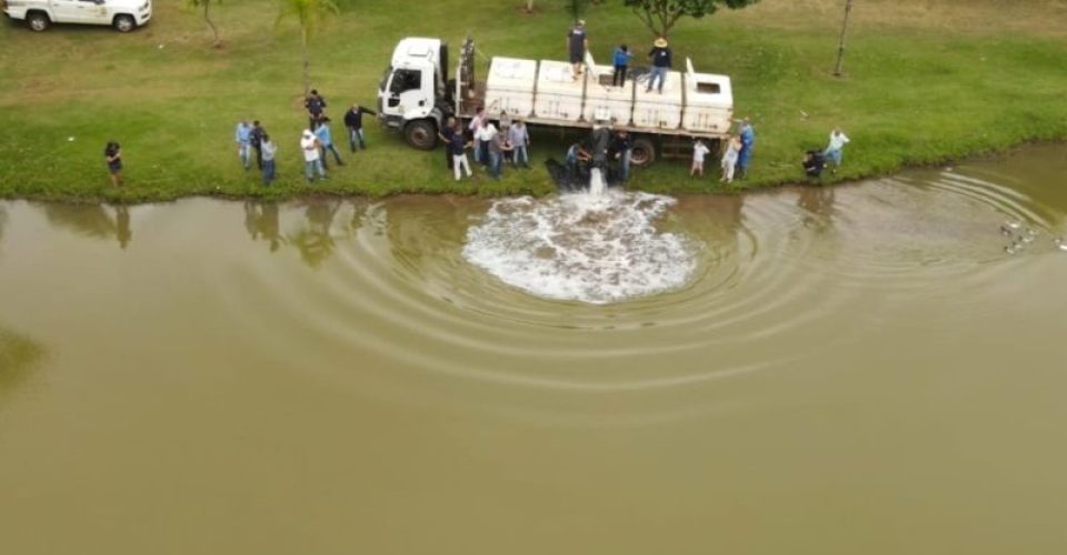 Foto: Marcos Macedo/ Prefeitura de Dourados