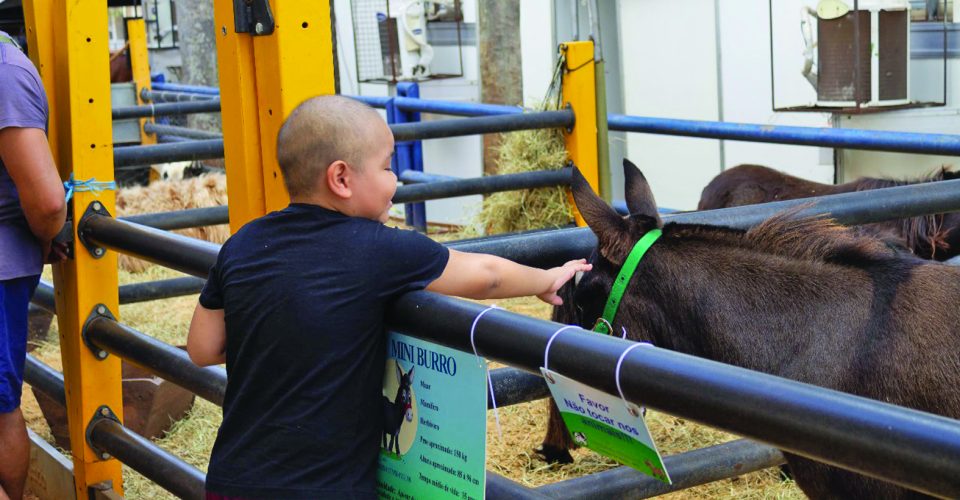 Foto: Nilson Figueiredo