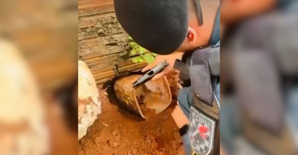 Foto: reprodução/Chapadense News