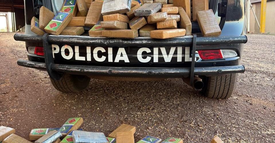 Foto: divulgação/Polícia Civil