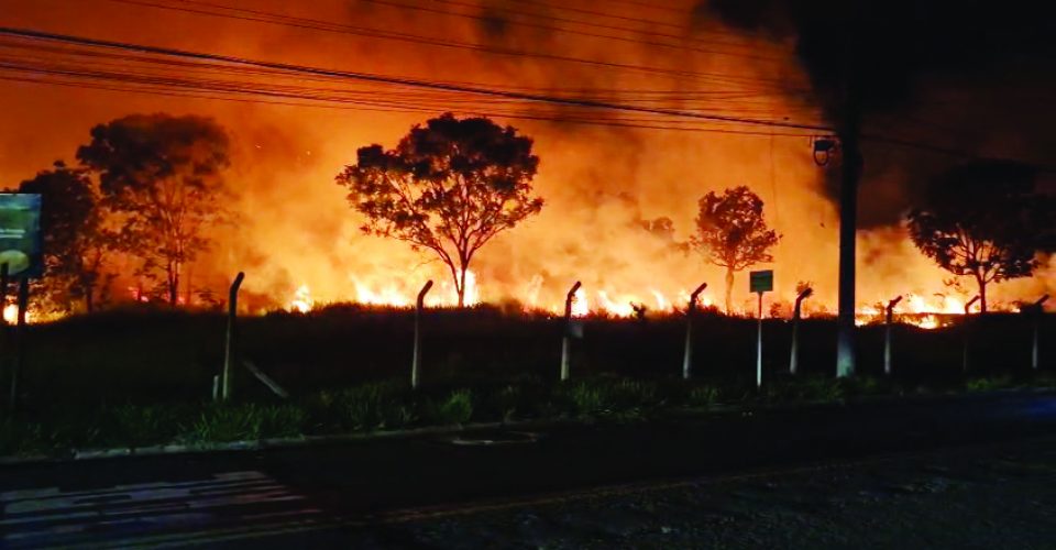 Somente nesse ano, já foram aplicadas mais de 50 multas pelas equipes da Semadur - Foto: Arquivo Pessoal