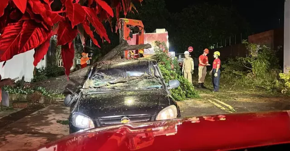 Foto: reprodução/redes sociais