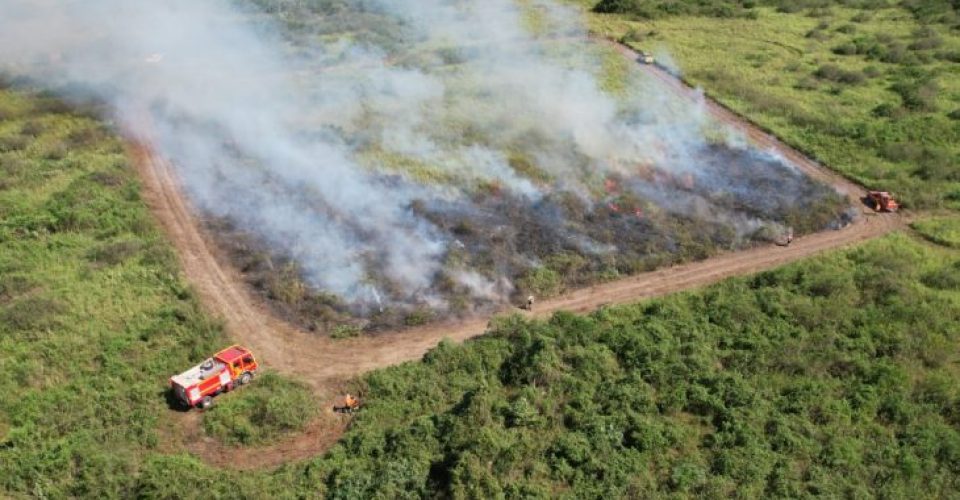 Foto: Divulgação/UFMS
