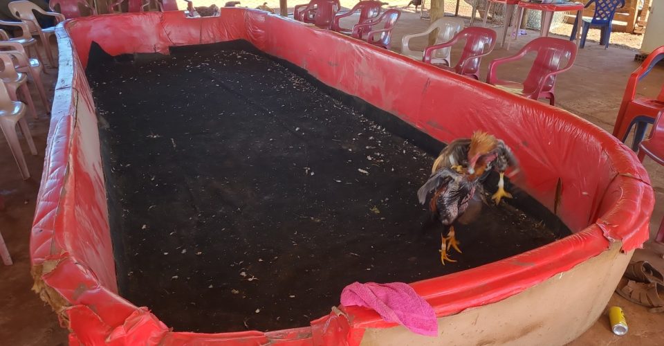 Foto: divulgação/PMA