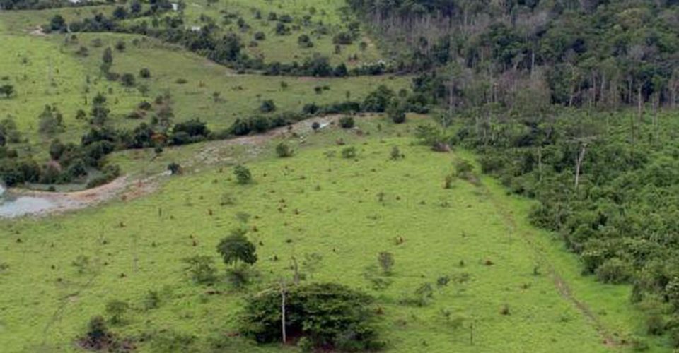 Documento deve ser enviado até as 23h59min.|Foto: MMA/Arquivo