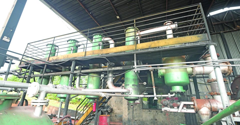 FOTO: NILSON FIGUEIREDO