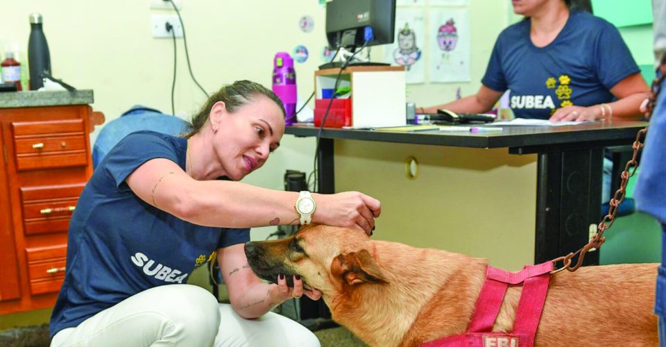 Foto: Divulgação/PrefCG