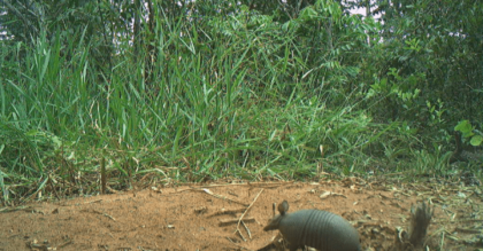 Foto: Divulgação/ Prefeitura de Três Lagoas
