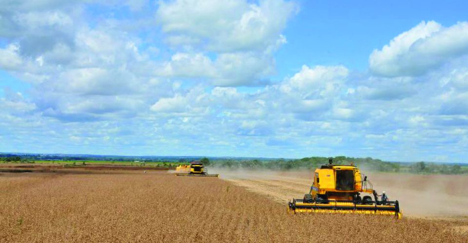 Foto: Álvaro Rezende / Governo MS