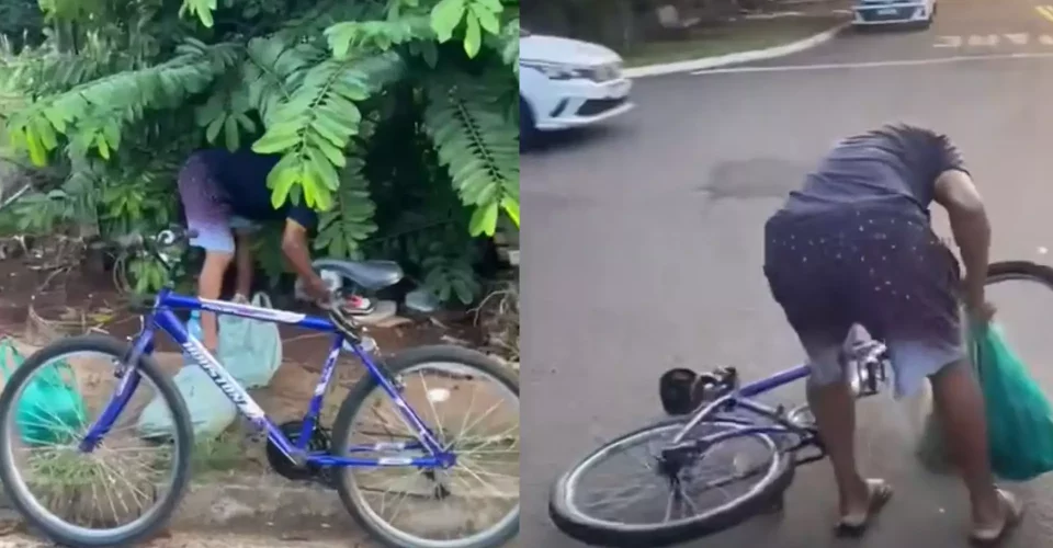 Foto: reprodução/redes sociais