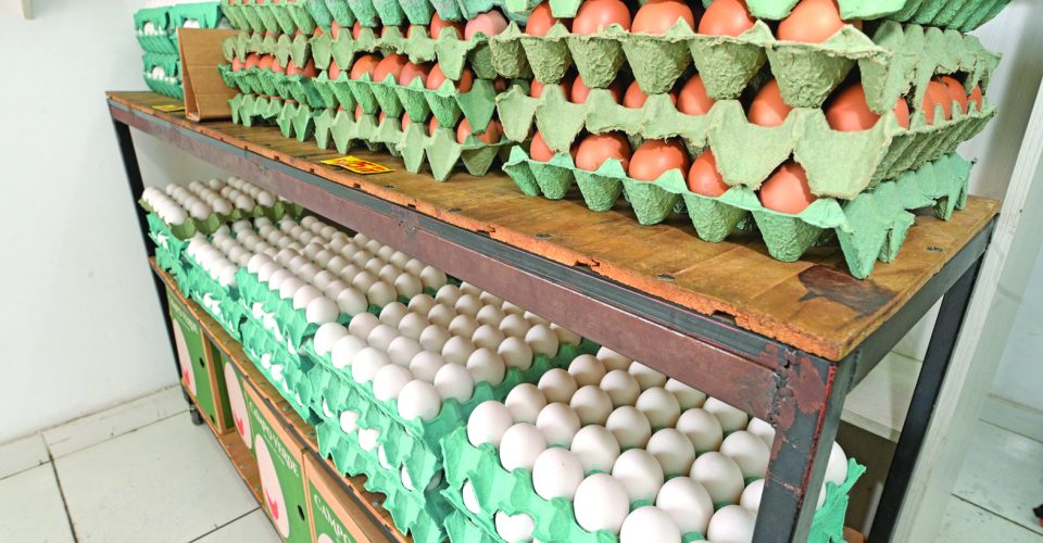 Com o fim da Quaresma mercado para consumo do produto fica mais calmo, avalia produtor - Foto: Nilson Figueiredo