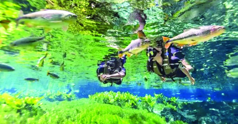 foram registradas 880.669 visitações nos passeios turísticos
- Foto: Agência Gov