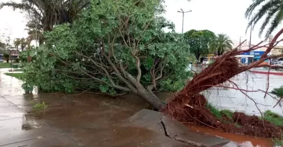 Estragos provocados pelo temporal, em Caarapó - Foto: reprodução/Caarapó News