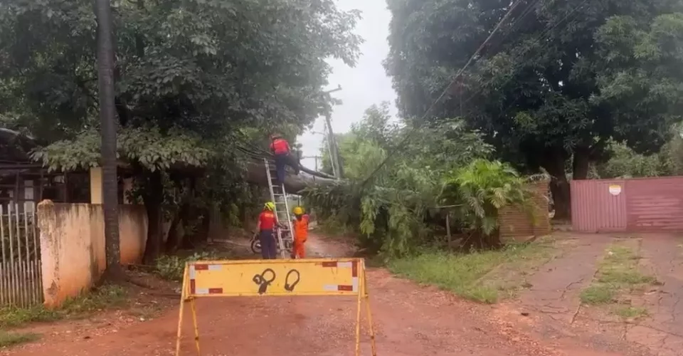 Foto: reprodução/Jardim News