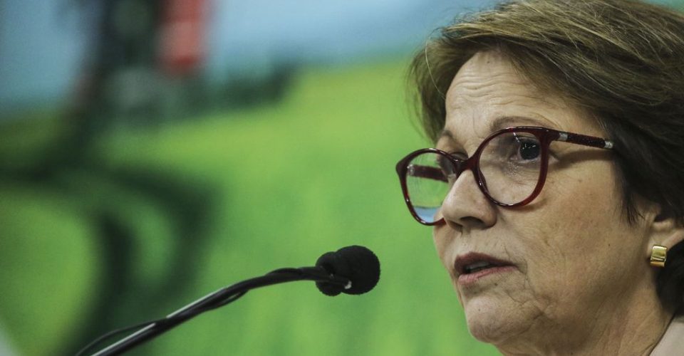 tereza cristina ministra mapa ministerio da agricultura