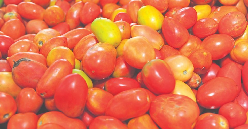 Cebola e tomate registraram maior variação de preços nos mercados pesquisados. - Foto: Nilson Fugueiredo