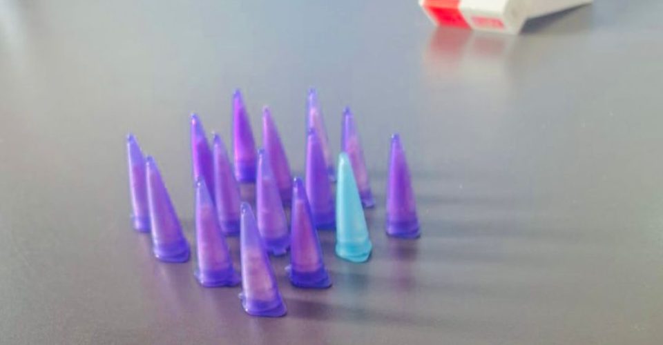 Foto: divulgação/Polícia Civil