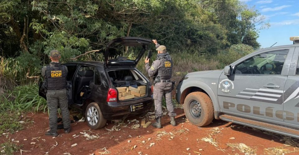 Foto: Divulgação/DOF