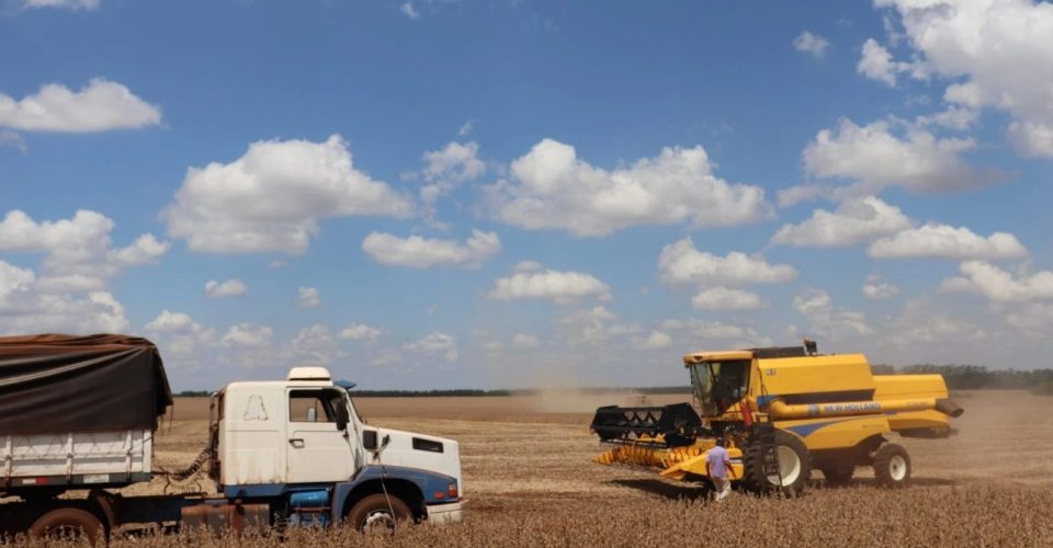 trigo agropecuaria agronegocio producao produtores lavoura